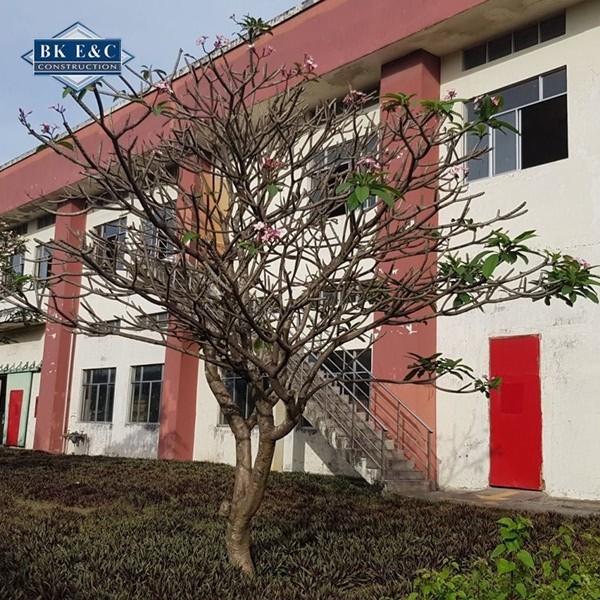 Kiểm định cải tạo thay đổi công năng đảm bảo công trình có kết cấu an toàn tuân thủ đúng theo quy định